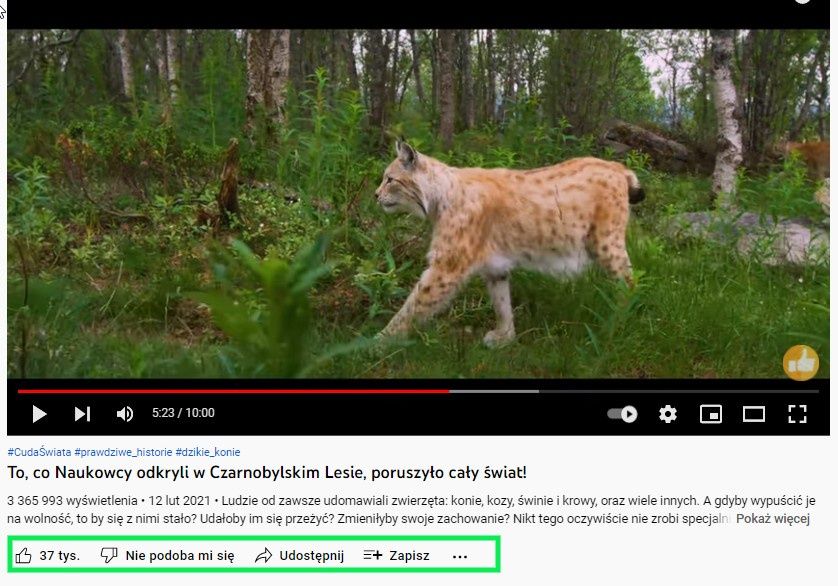 YT bez ilości dislike