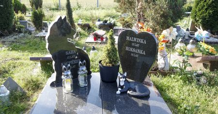 Cmentarze dla zwierząt. Tyle kosztuje pochówek psa lub kota