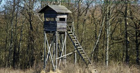 Śmierć na polowaniu. Myśliwy z zarzutami