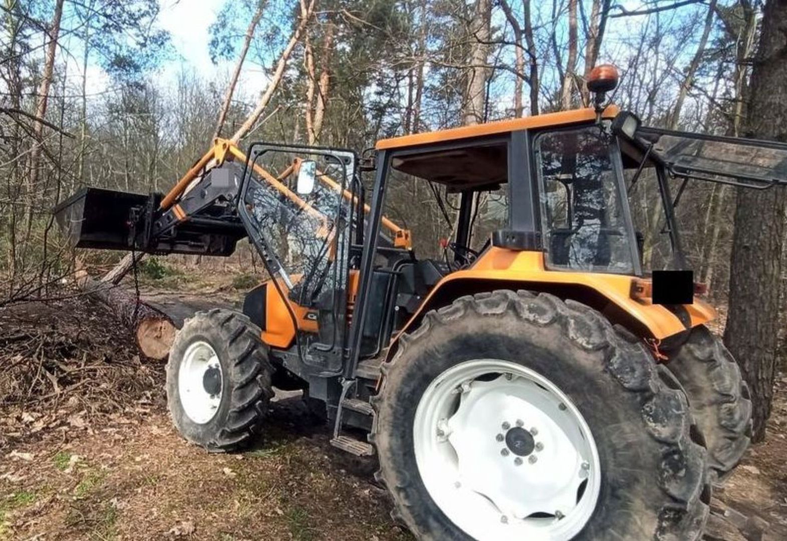 Tragiczny wypadek przy wycince drzewa. 42-latek zginął na oczach ojca