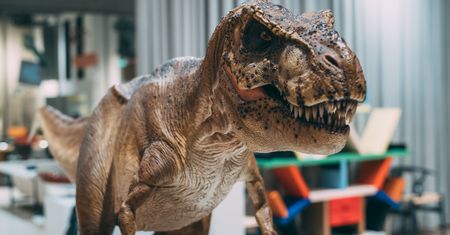 Jak dinozaury opanowały świat? Badania skamieniałych odchodów zdradzają ich sekret