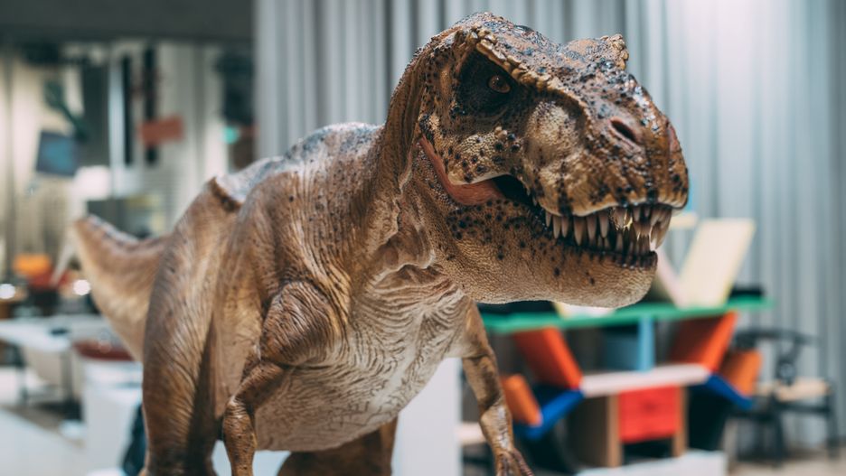 Dinozaur dinozaury tyranozaurus 