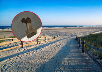 Poszedł z psem na spacer. Nie spodziewał się, że zwierzę trafi na taki okaz