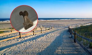 Poszedł z psem na spacer. Nie spodziewał się, że zwierzę trafi na taki okaz