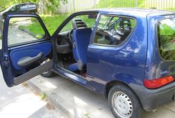 Siedem szczęśliwych lat