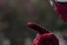 ''Niesamowity Spider-Man 2'': Sprawdź dziewięć nowych fotosów z planu