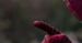 ''Niesamowity Spider-Man 2'': Sprawdź dziewięć nowych fotosów z planu