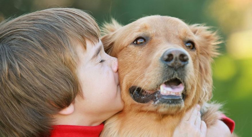 Zdjęcie przedstawia dziecko tulące i całujące psa