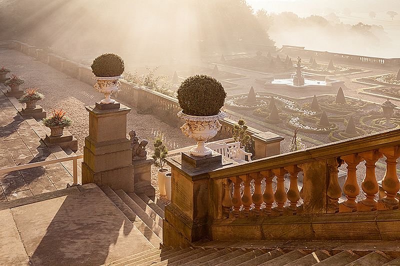 Znamy zwycięzców konkursu International Garden Photographer of the Year 2016 7