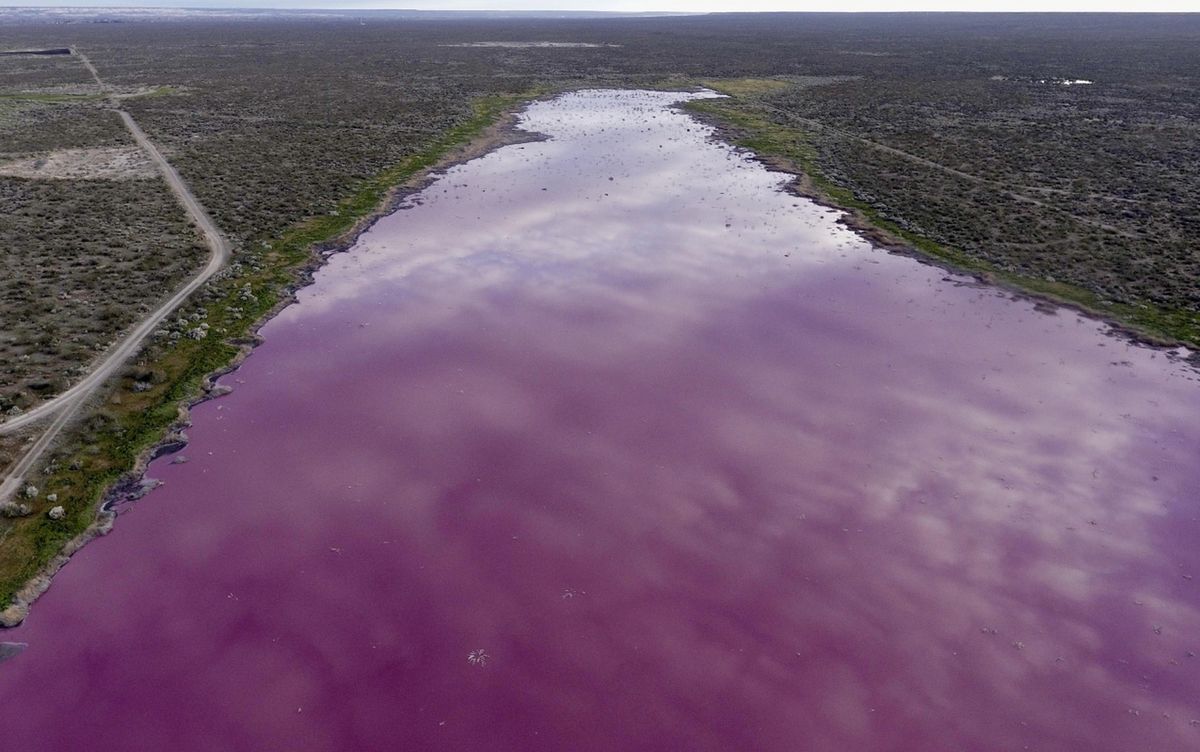 Laguna Corfo często ulega zanieczyszczeniom 