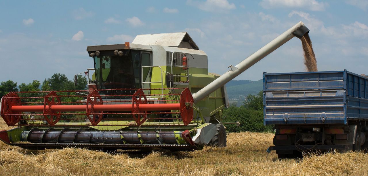 Cena skupu interwencyjnego zbóż sprzed lat. Rolnicy chcą urealnienia