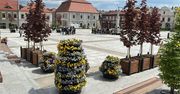 Bochnia: rusza głosowanie nad Budżetem Obywatelskim na 2026 rok
