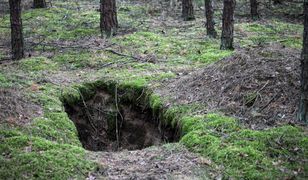 Leśnicy ostrzegają. W tych rejonach pojawiły się zapadliska