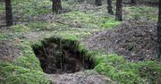 Leśnicy ostrzegają. W tych rejonach pojawiły się zapadliska