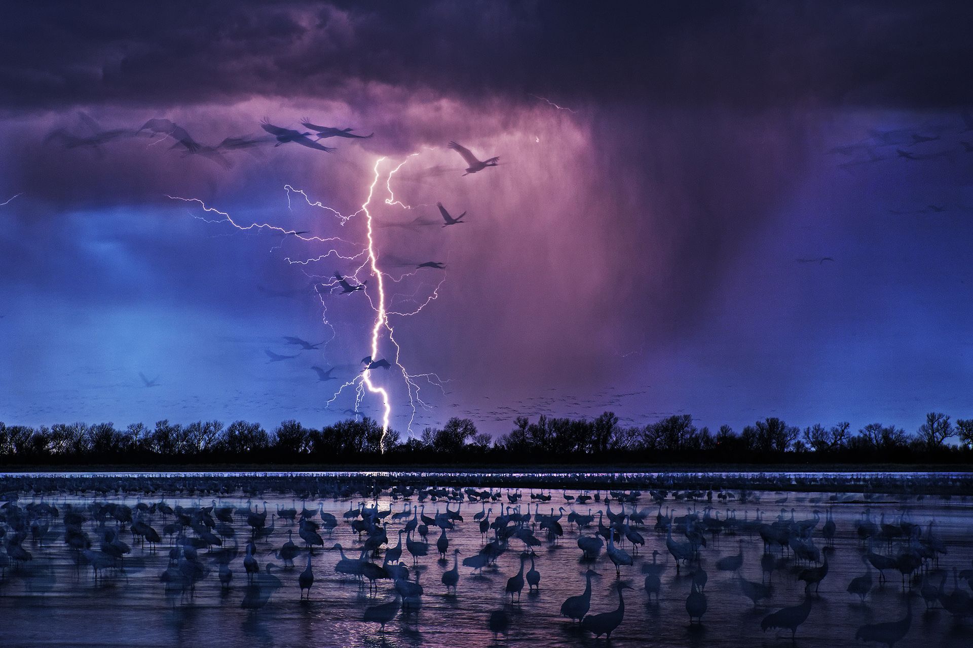 Fotografie zwycięzców Siena International Photo Awards 2017 to wielka inspiracja. Wśród laureatów jest Polak 1