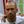 Raul Meireles