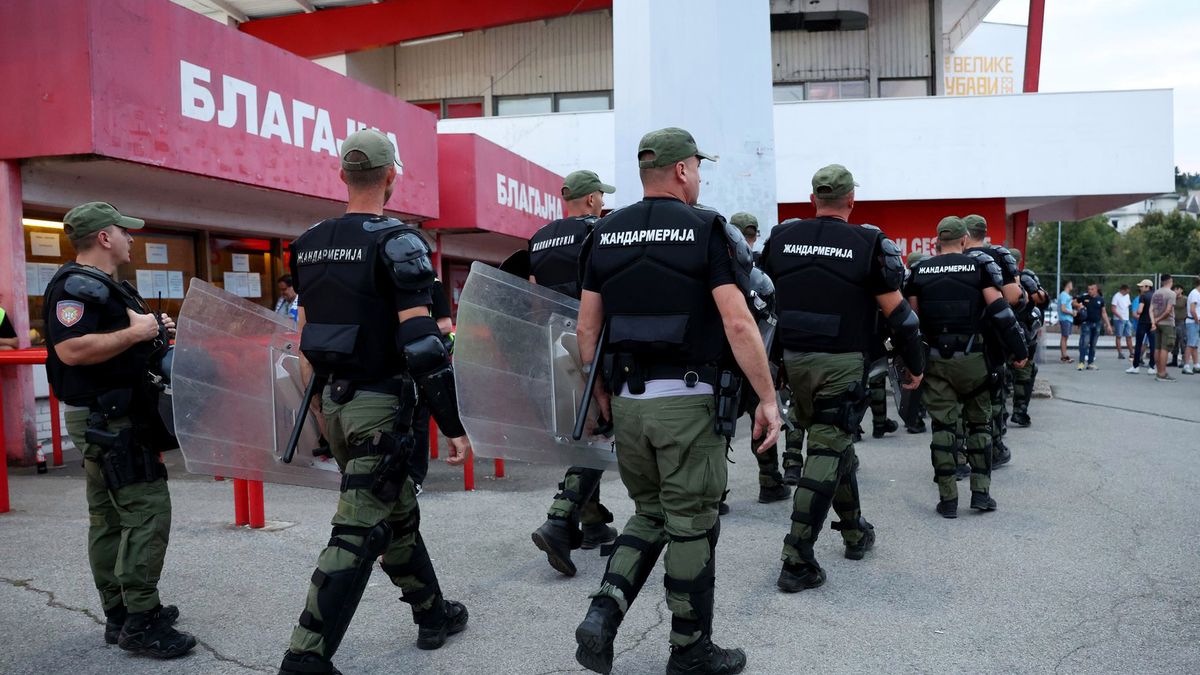 Getty Images / Michael Regan / Policja na meczu Serbia - Anglia