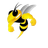 Coventry Bees