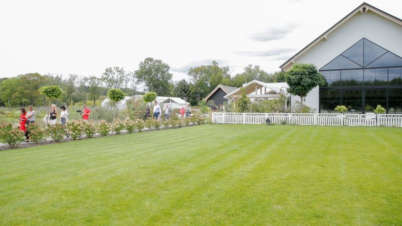 Forgotten Fields Farm Wojciecha Modesta Amaro