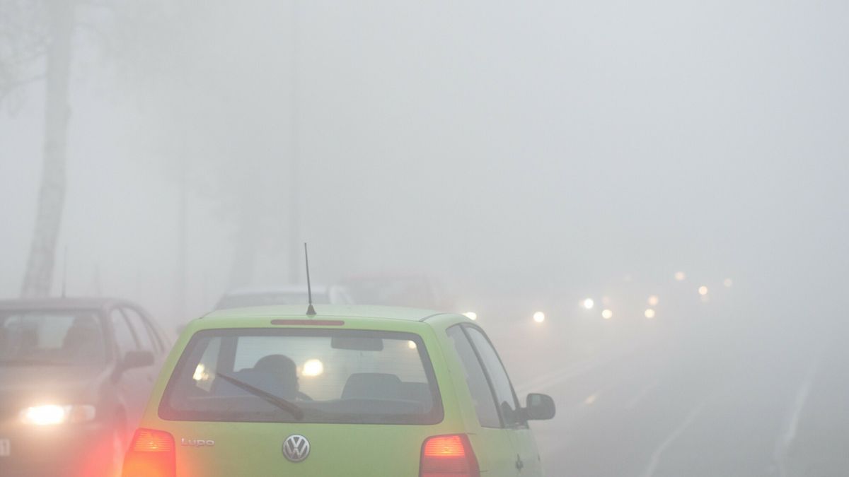 Wielu kierowców nie wie, kiedy włączyć tylne światło przeciwmgłowe