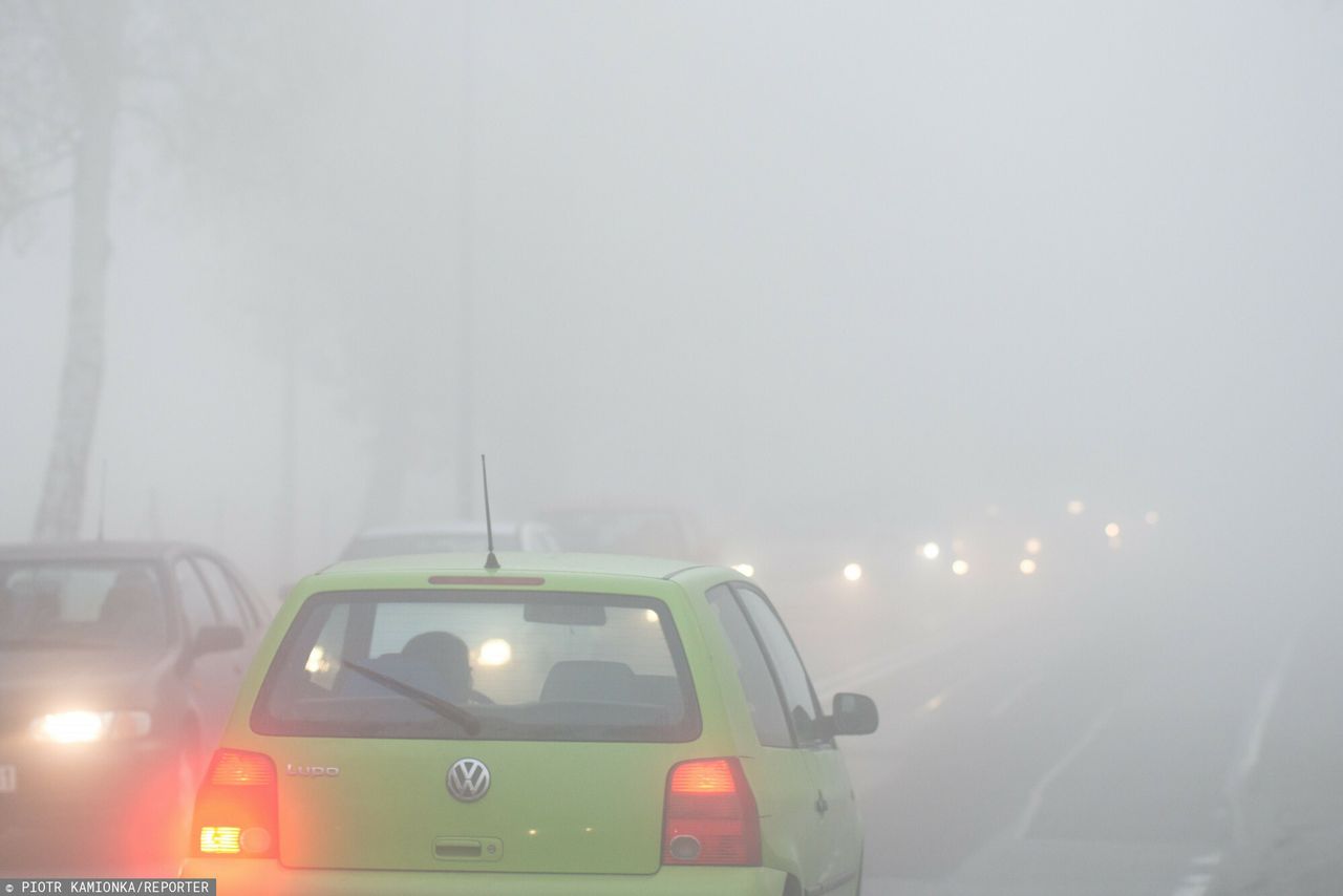 Kierowcy często źle używają tego światła. Niewiedzą narażają się na mandat