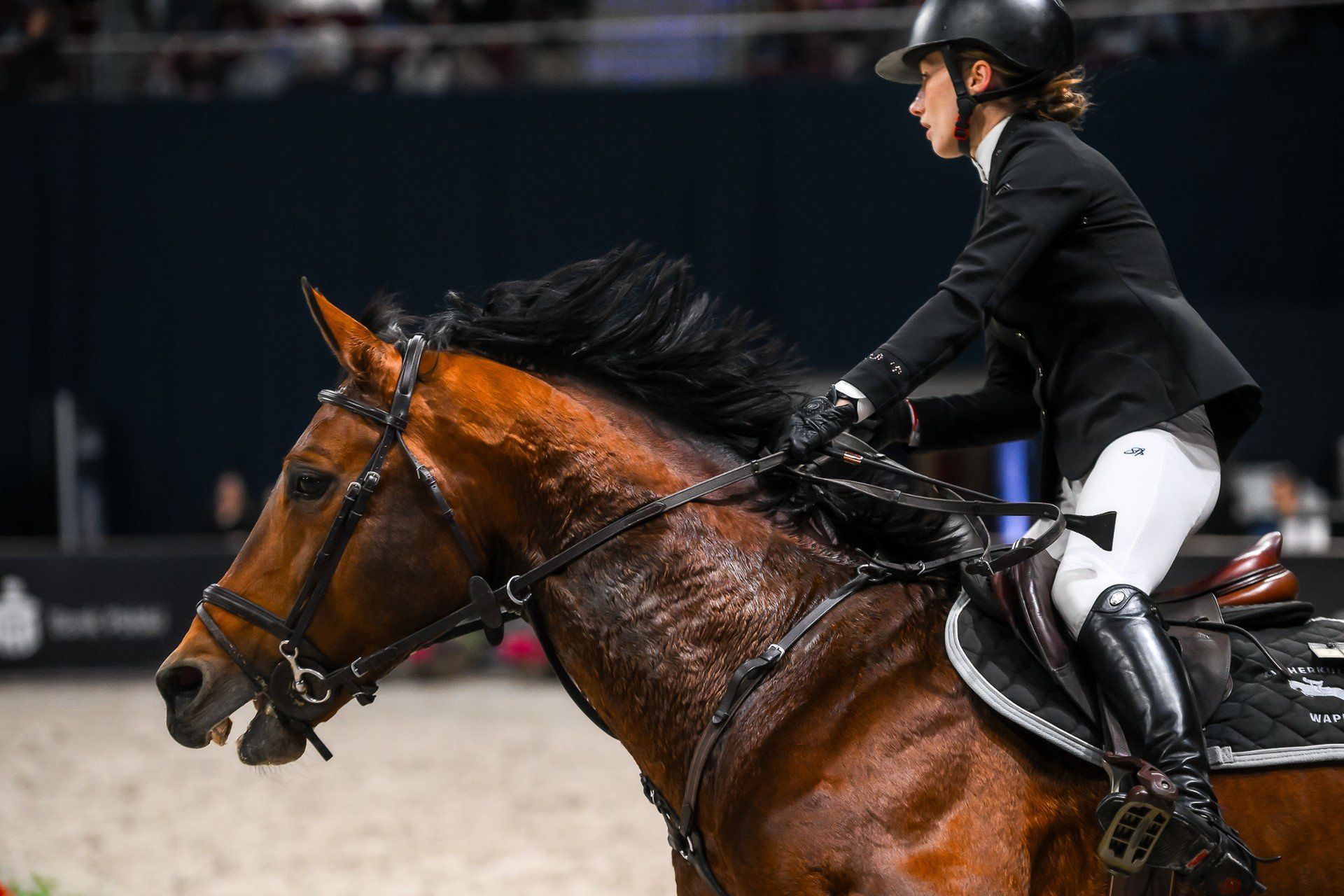 VI Wroclove Międzynarodowe Zawody Working Equitation WAWE