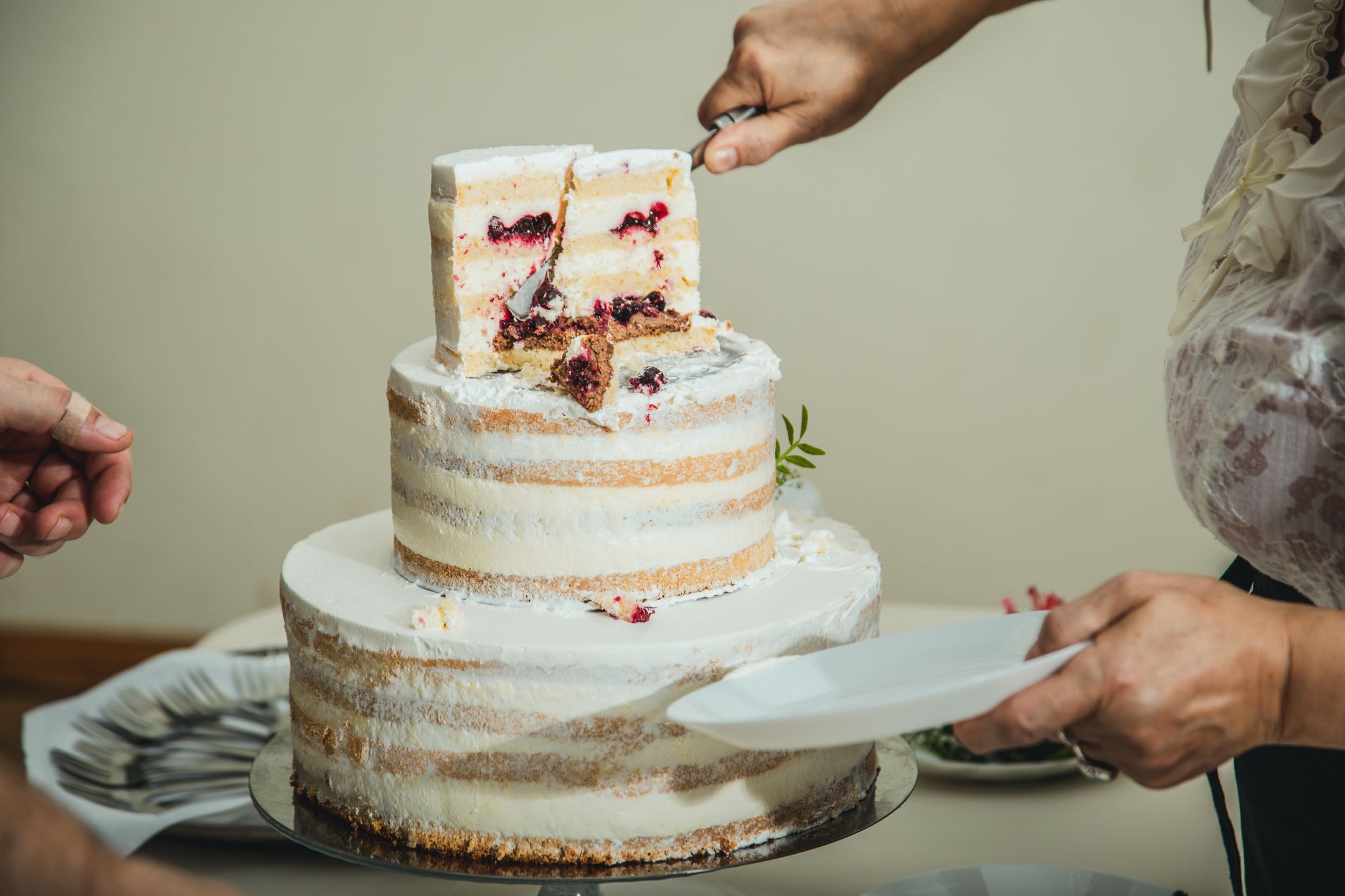 tort/ ilustracja