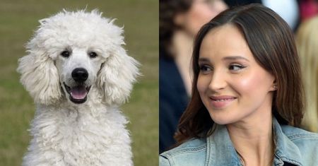 Marina Łuczenko planuje zakup PUDELKA. "Wychowałam się z tą rasą"