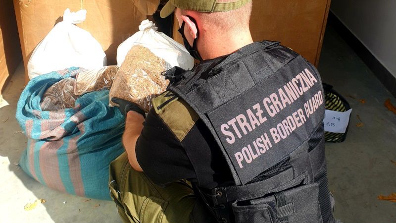 W trakcie akcji zabezpieczono w sumie prawie 1,9 tony suszu tytoniowego i 130 kg krajanki.