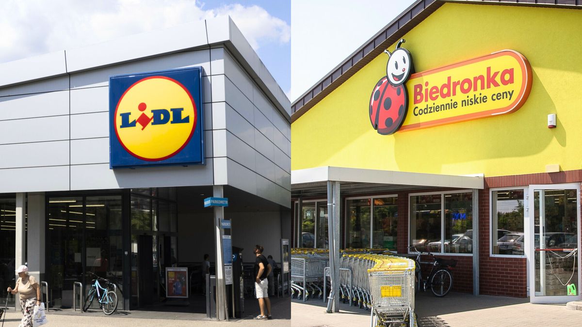 Sprawdzili ceny w popularnych dyskontach