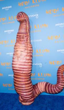Heidi Klum w szokującym stroju 