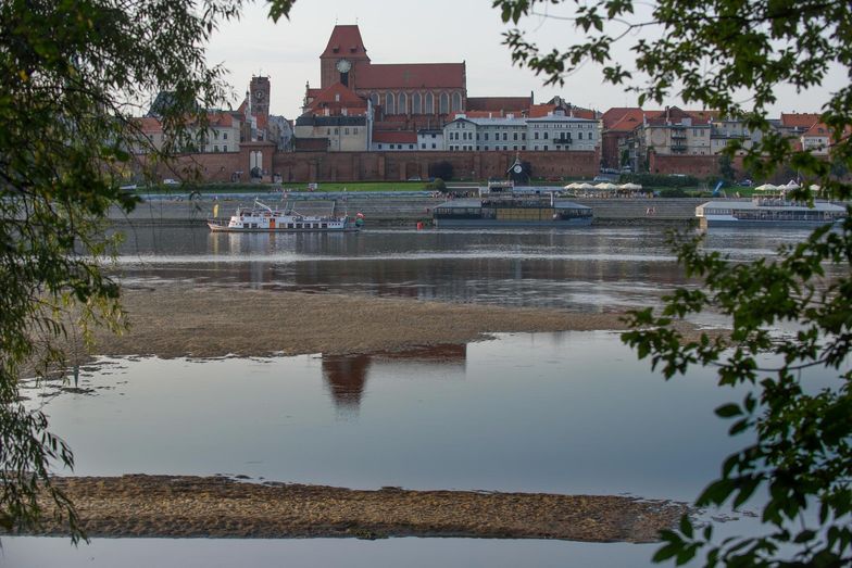 Zdaniem informatora Rzeczpospolitej projekt jest wart miliard dolarów.