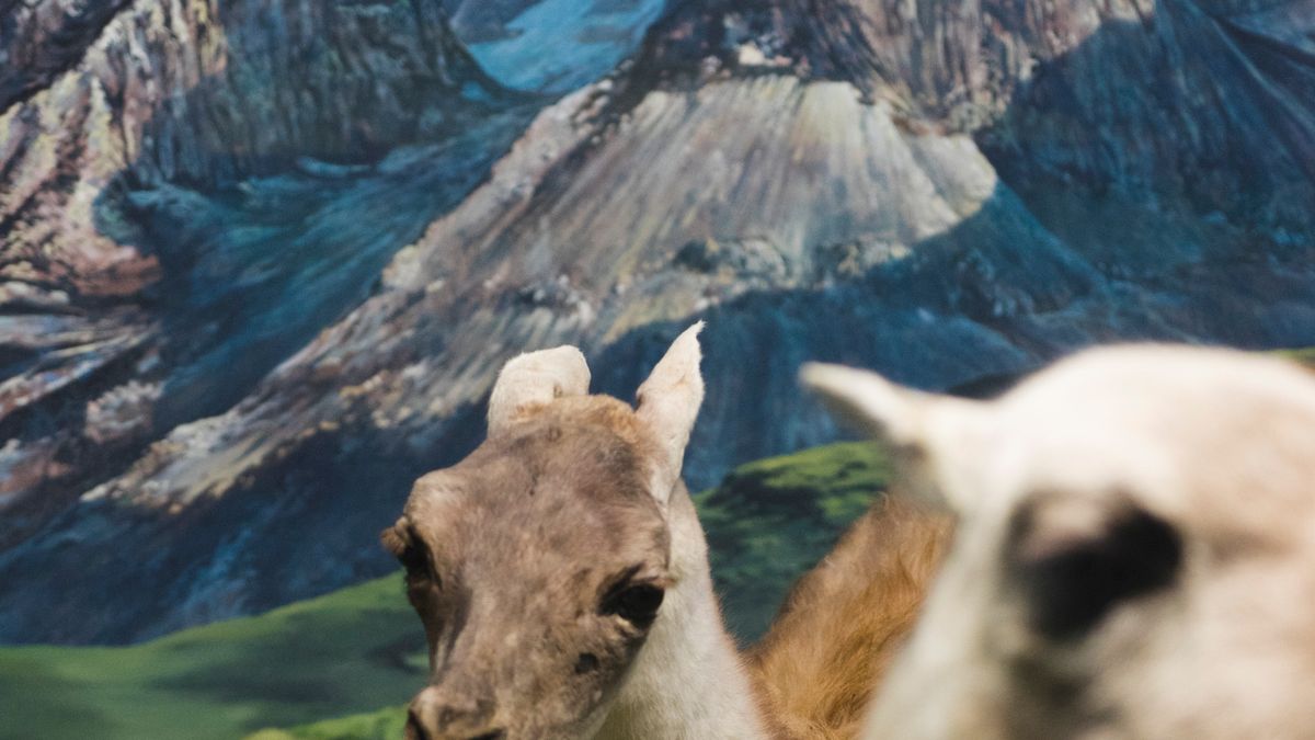 SWPA 2020: Poznaj nazwiska finalistów konkursu studenckiego i młodzieżowego 1