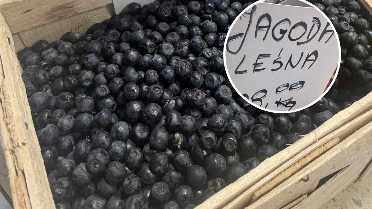 Joanna Matyjek zrobiła zdjęcie ceny za jagody na bazarku