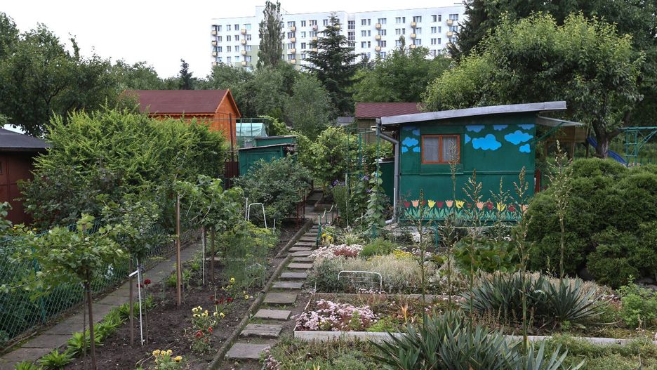 Coraz więcej osób melduje się na działkach ROD