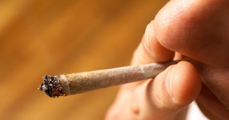 Legalizacja marihuany z korzyścią dla fastfoodów. Dzięki trawce mają więcej klientów
