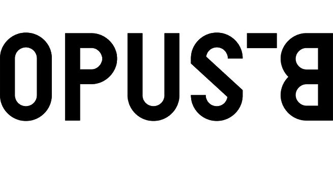 Opus B z 7,2 mln zł zysku, wpływy 62 proc. w górę