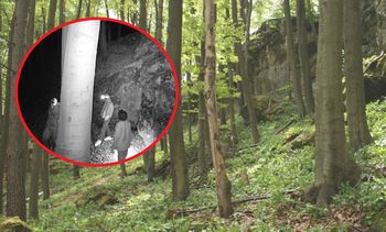 Zdewastowali jaskinię w Sokolich Górach. "Nie były to przypadkowe osoby"