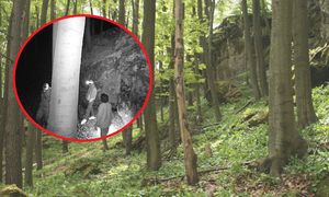 Zdewastowali jaskinię w Sokolich Górach. "Nie były to przypadkowe osoby"