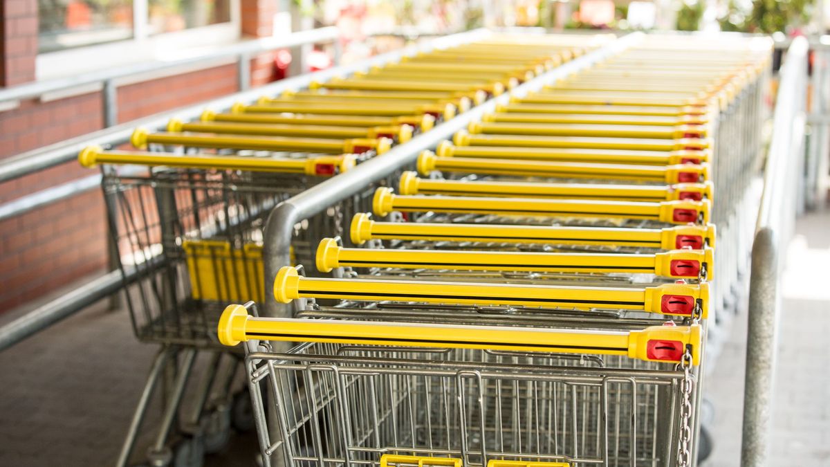 Biedronka wózek zakupowy sklep