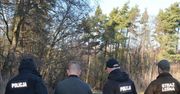 Strażnicy odkryli "zamaskowane pnie". Czterech mężczyzn usłyszało zarzuty