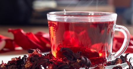 Napój idealny na upały. Herbata z hibiskusa