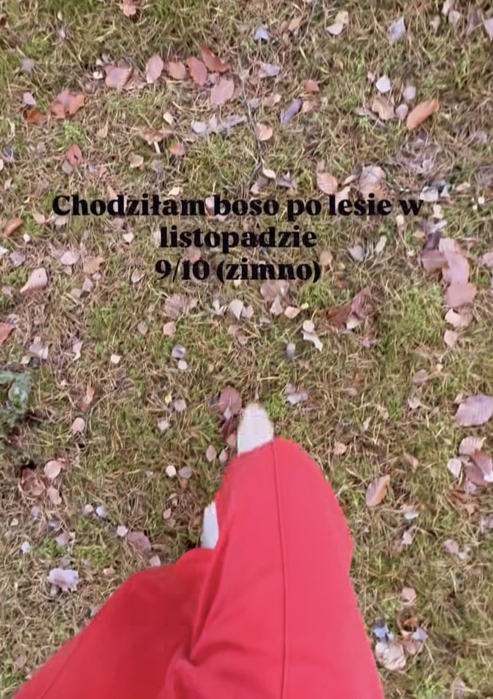 Julia Walczak prezentuje podsumowanie roku