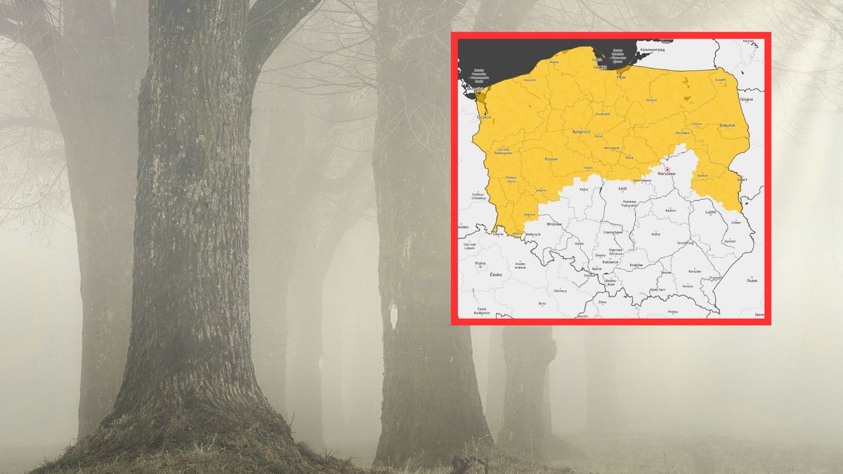 Północe regiony Polski spowije gęsta mgła. IMGW wydało ostrzeżenie 