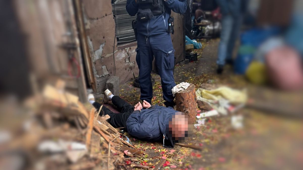 policja