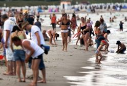 Polak woli gruszę od palmy