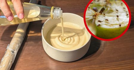 Latające muszki owocówki znikną. Prosty patent rozwiąże problem w twojej kuchni