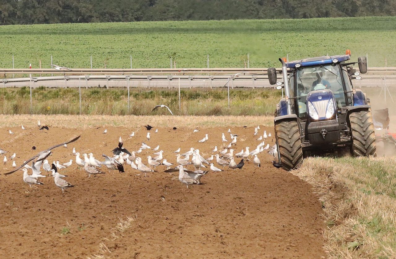 Państwowa ziemia pozostanie pod ochroną. Zakaz sprzedaży wydłużony