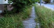 Bielsko-Biała: MZD wydał komunikat o koszeniu traw przy drogach i chodnikach