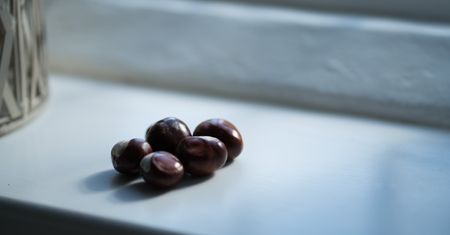 Pozbieraj w parku i połóż na parapecie. Zapomnisz o pająkach